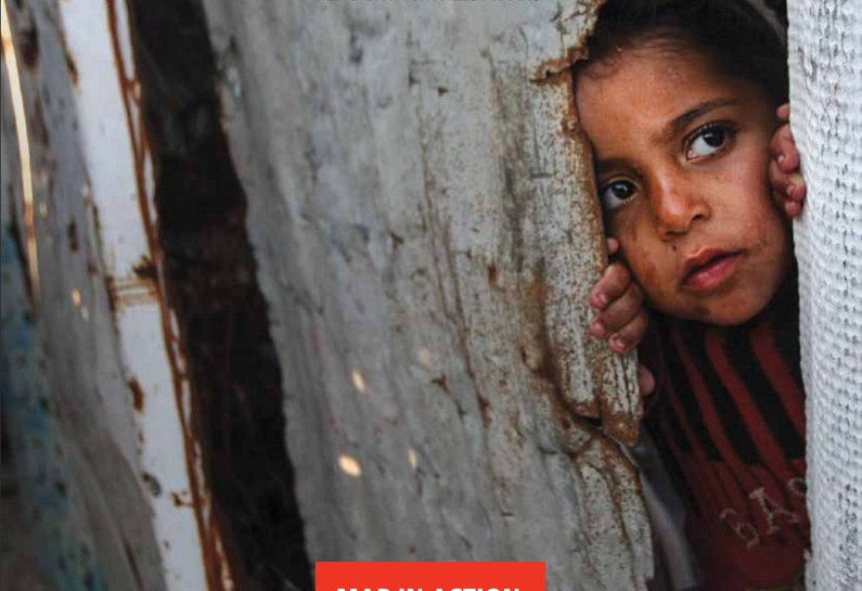 Publication cover for MAP Annual Report 2017