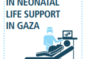 Graphic with text that says: Within 2 years, MAP has trained 206 doctors, nurses, & midwives in neonatal life support in Gaza.