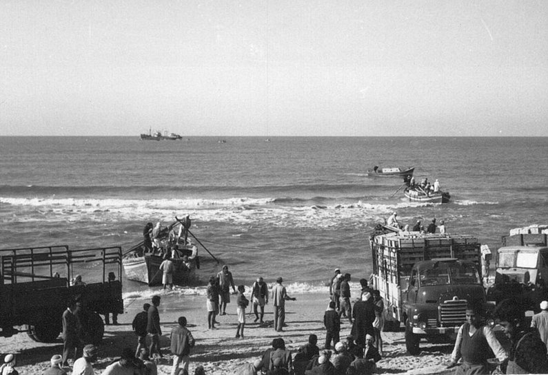 Orange exports from Gaza Beach in 1964