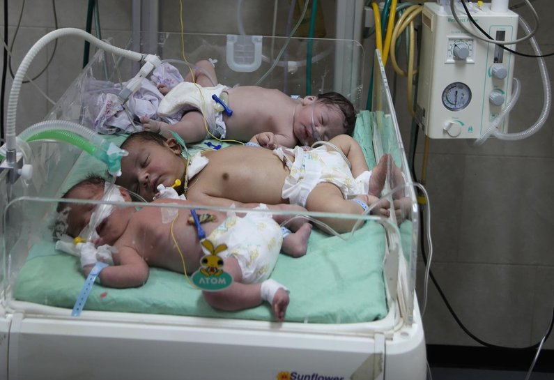 Three premature babies sharing a NICU at Al Shifa hospital in Gaza