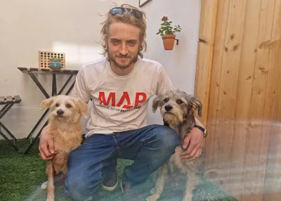 Image of Tommy Corbyn wearing a MAP t-shirt, kneeling with two dogs by his side.